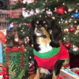 Meet your Posher, Marissa